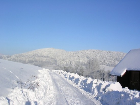 DSCN3687.jpg