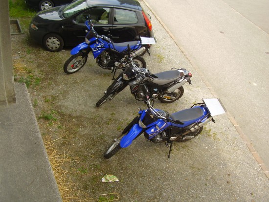 P1010178.JPG