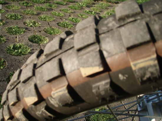 P9090003.JPG (1.41 MiB) Zobrazeno 100121 x P9090003.JPG