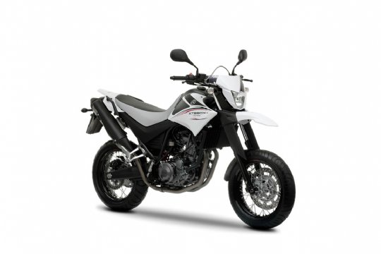 xt660x_bila_2009.jpg