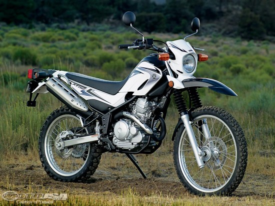 08xt250[1].jpg