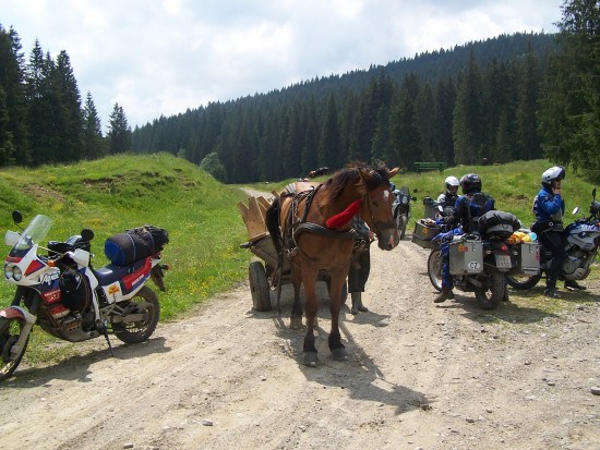 VYSNE%20VLKODLAKY%20PHOTOS%20-%20241.jpg